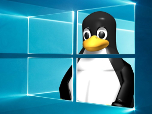 Linux herstelt prestaties op oudere pc’s en houdt ze snel