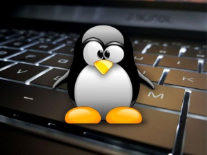 Valve’s Proton-update brengt 19 extra games naar Linux