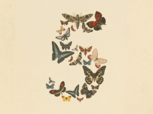 Anthropic brengt Claude Fable 5 uit voor Pro, Max en Enterprise gebruikers, gratis tot 22 juni