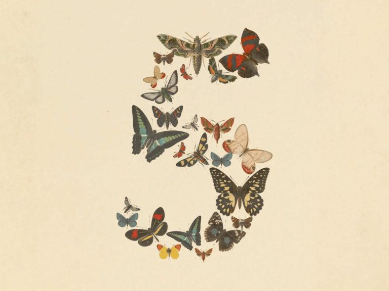 Anthropic brengt Claude Fable 5