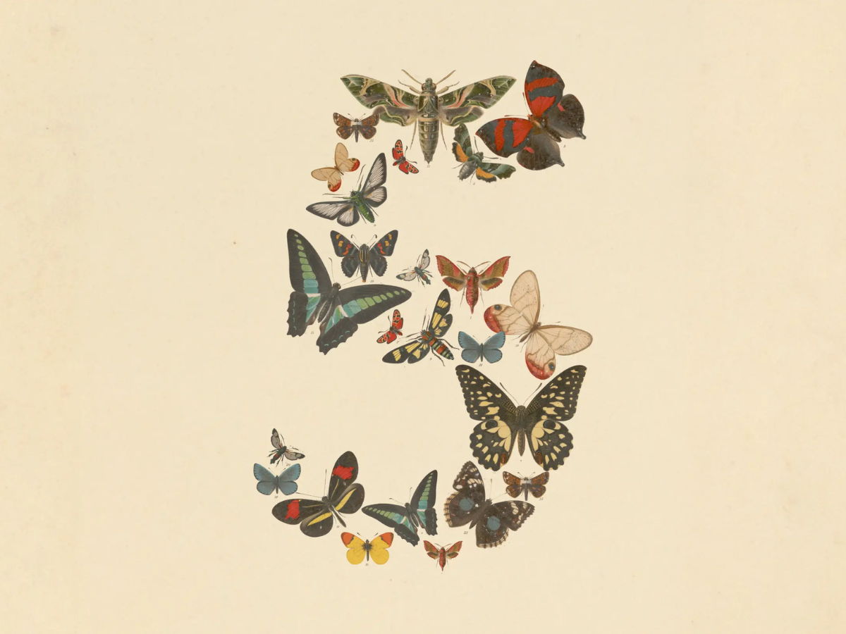 Anthropic brengt Claude Fable 5